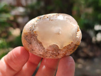 Polished Flower Agate Palm Stones x 20 From Madagascar - Toprock Gemstones and Minerals 