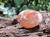 Polished Flower Agate Palm Stones x 20 From Madagascar - Toprock Gemstones and Minerals 
