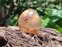 Polished Flower Agate Palm Stones x 20 From Madagascar - Toprock Gemstones and Minerals 