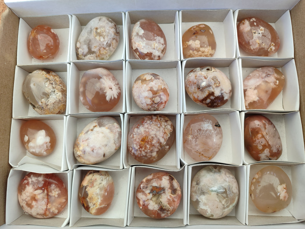 Polished Flower Agate Palm Stones x 20 From Madagascar - Toprock Gemstones and Minerals 