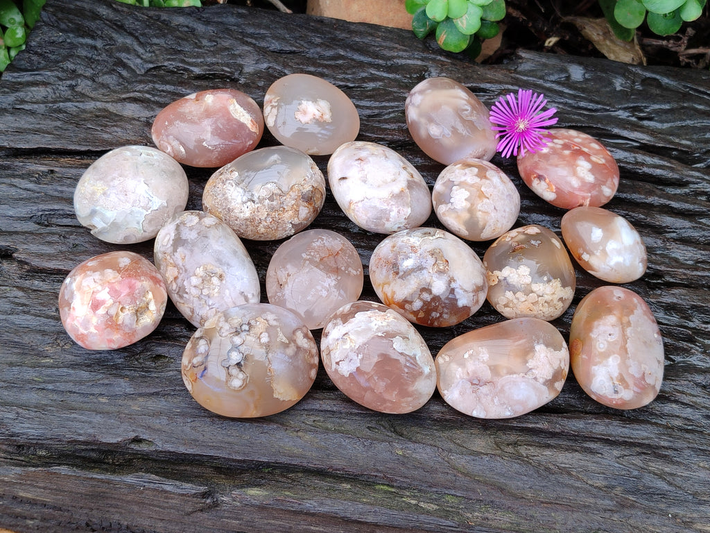 Polished Flower Agate Palm Stones x 20 From Madagascar - Toprock Gemstones and Minerals 