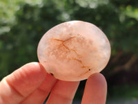 Polished Flower Agate Palm Stones x 20 From Madagascar - Toprock Gemstones and Minerals 