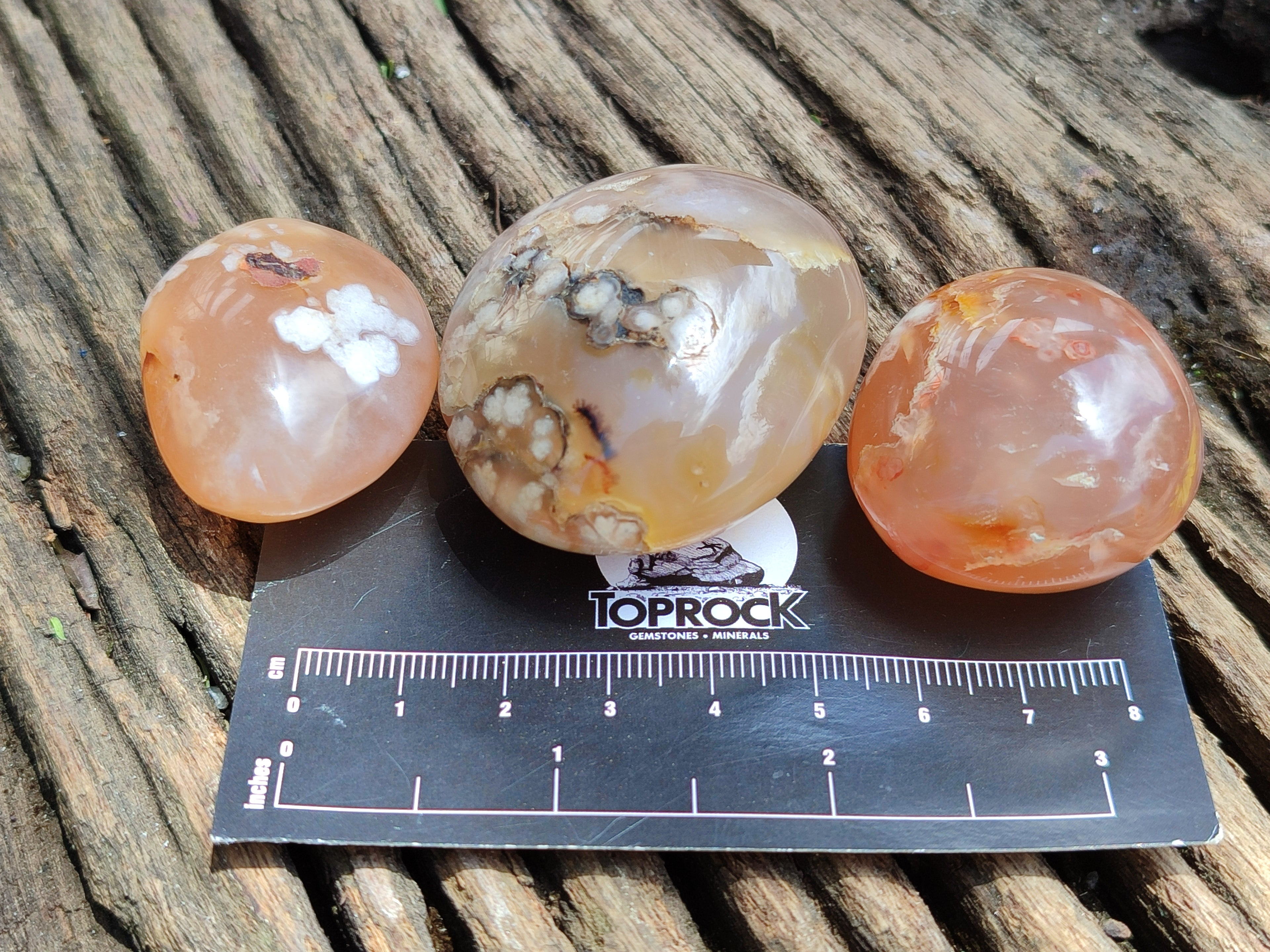 Polished Flower Agate Palm Stones x 20 From Madagascar - Toprock Gemstones and Minerals 