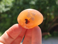 Polished Flower Agate Palm Stones x 20 From Madagascar - Toprock Gemstones and Minerals 