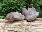 Natural Red Hematoid Quartz Specimens x 12 From Zimbabwe - Toprock Gemstones and Minerals 