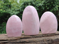Polished Rose Quartz Standing Free Forms x 3 From Madagascar - Toprock Gemstones and Minerals 