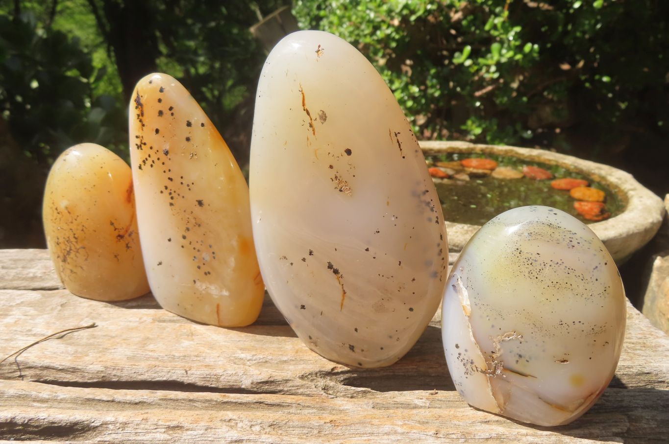 Polished Dendritic Agate Standing Free Forms x 4 From Madagascar - Toprock Gemstones and Minerals 