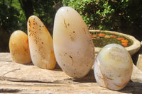 Polished Dendritic Agate Standing Free Forms x 4 From Madagascar