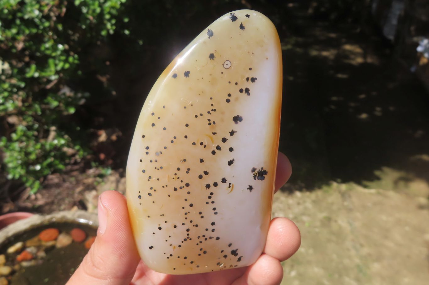 Polished Dendritic Agate Standing Free Forms x 4 From Madagascar - Toprock Gemstones and Minerals 