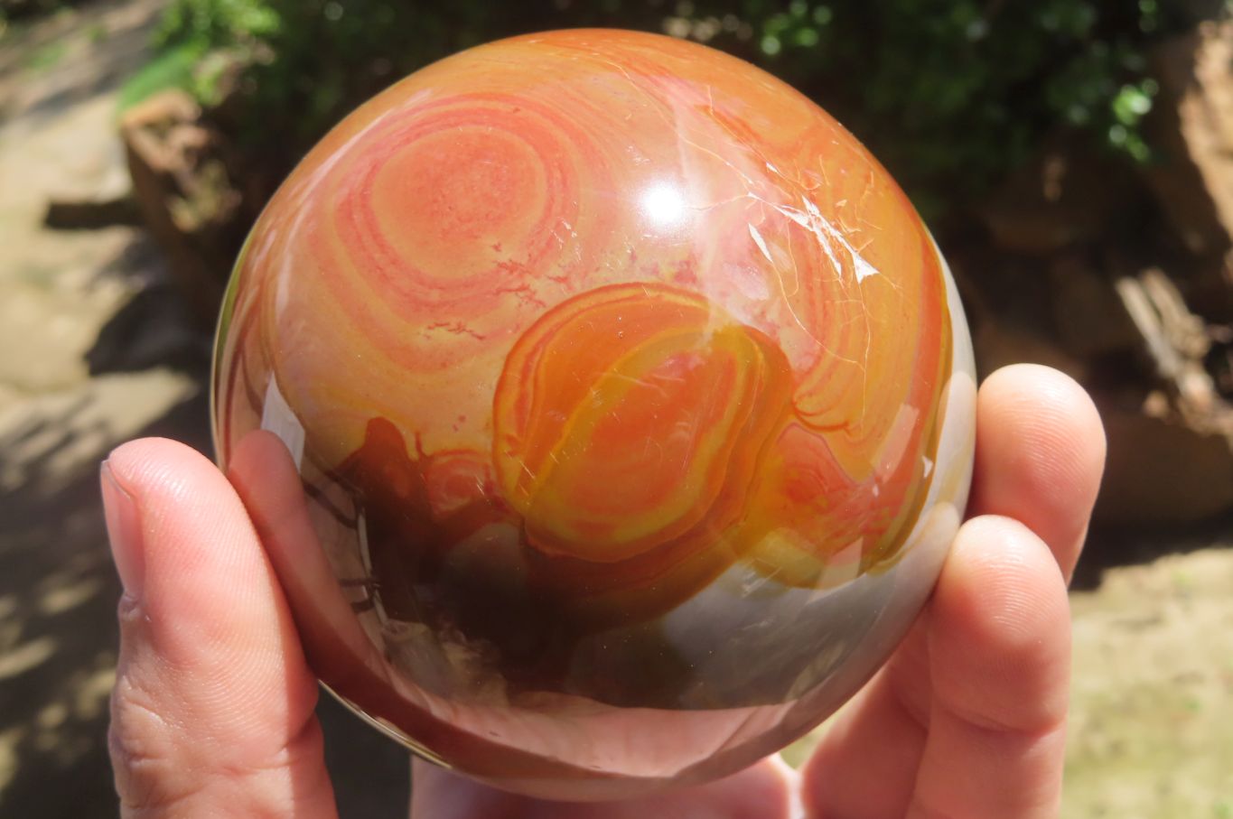 Polished Polychrome Jasper Spheres x 2 From Zimbabwe - Toprock Gemstones and Minerals 