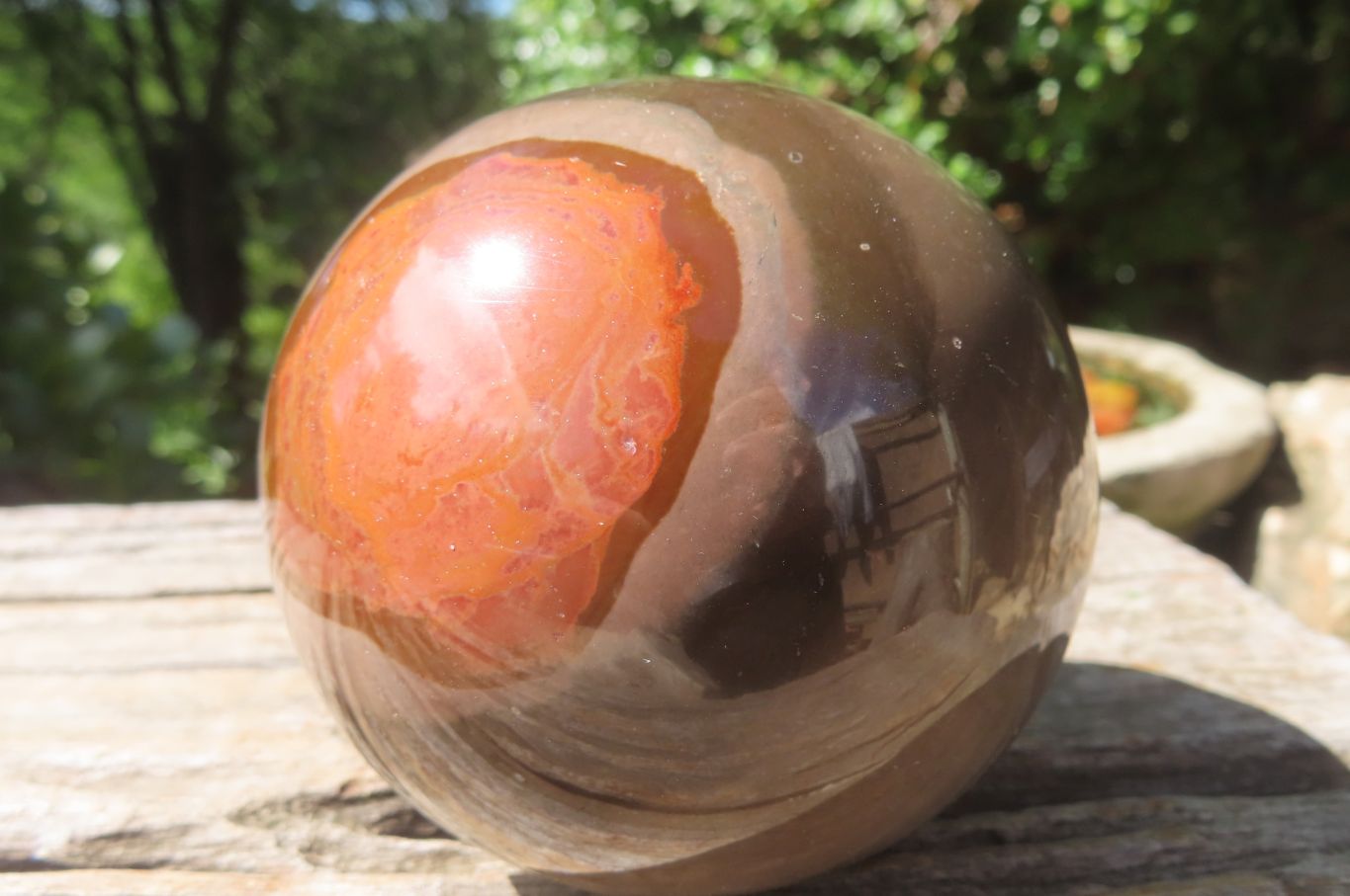 Polished Polychrome Jasper Spheres x 2 From Zimbabwe - Toprock Gemstones and Minerals 