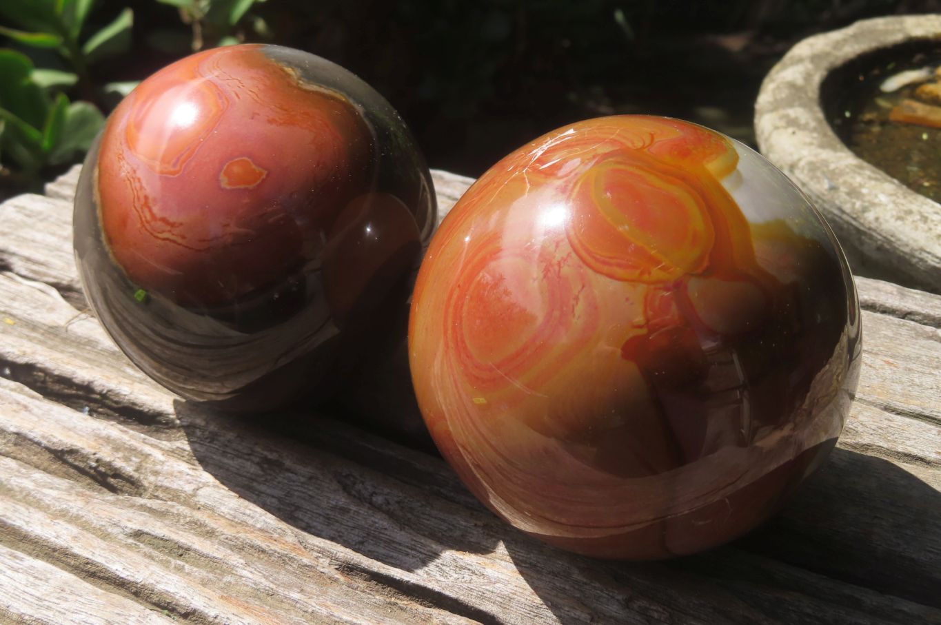 Polished Polychrome Jasper Spheres x 2 From Zimbabwe - Toprock Gemstones and Minerals 