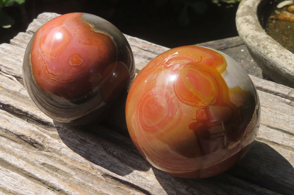 Polished Polychrome Jasper Spheres x 2 From Zimbabwe - Toprock Gemstones and Minerals 
