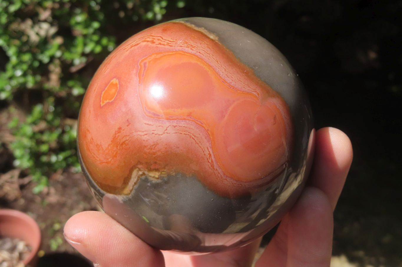 Polished Polychrome Jasper Spheres x 2 From Zimbabwe - Toprock Gemstones and Minerals 