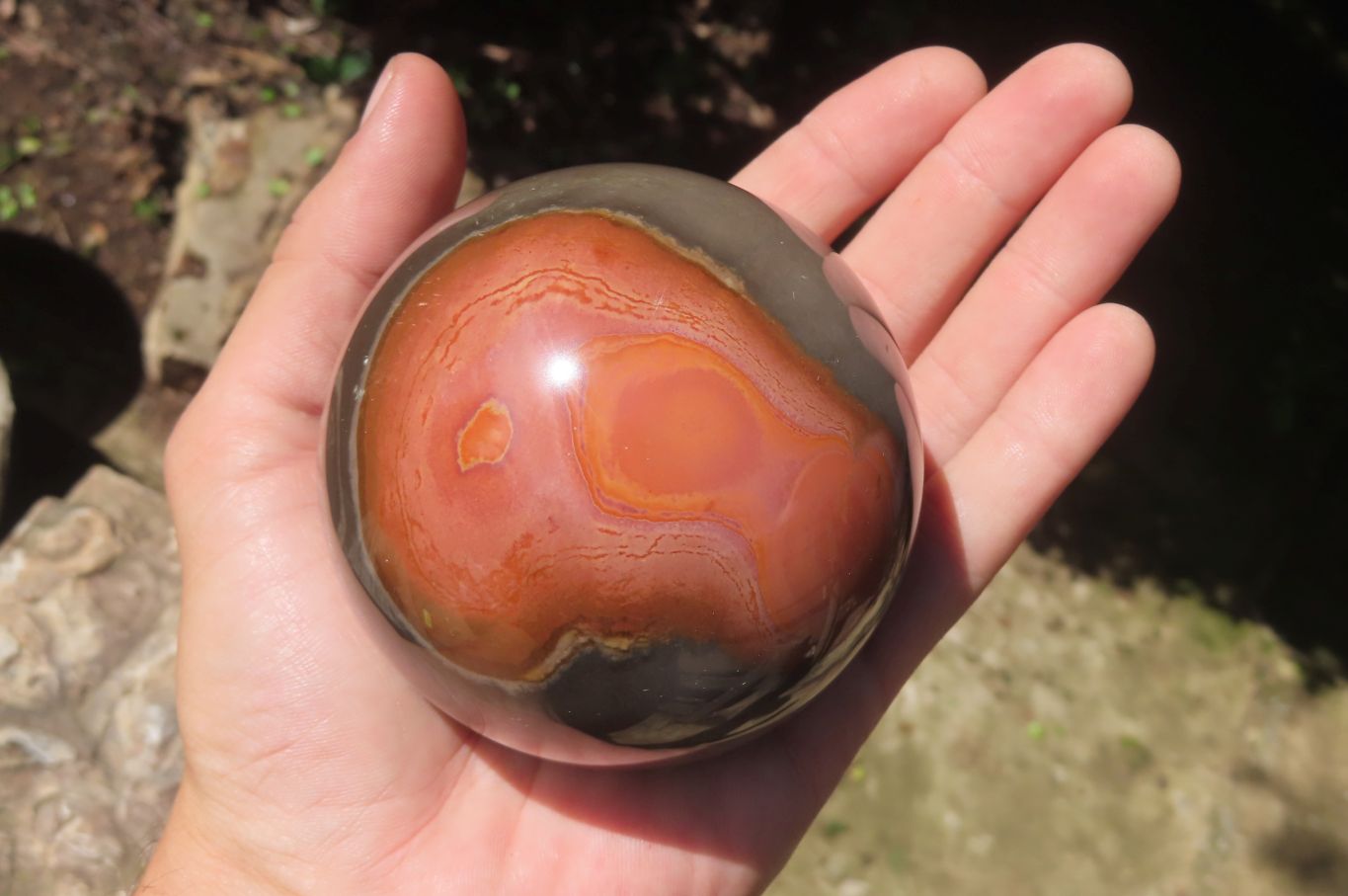 Polished Polychrome Jasper Spheres x 2 From Zimbabwe - Toprock Gemstones and Minerals 