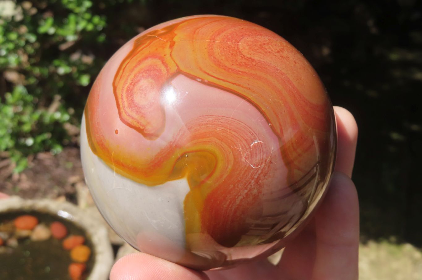 Polished Polychrome Jasper Spheres x 2 From Zimbabwe - Toprock Gemstones and Minerals 