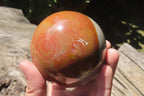 Polished Polychrome Jasper Spheres x 2 From Zimbabwe - Toprock Gemstones and Minerals 