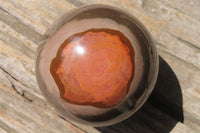 Polished Polychrome Jasper Spheres x 2 From Zimbabwe - Toprock Gemstones and Minerals 
