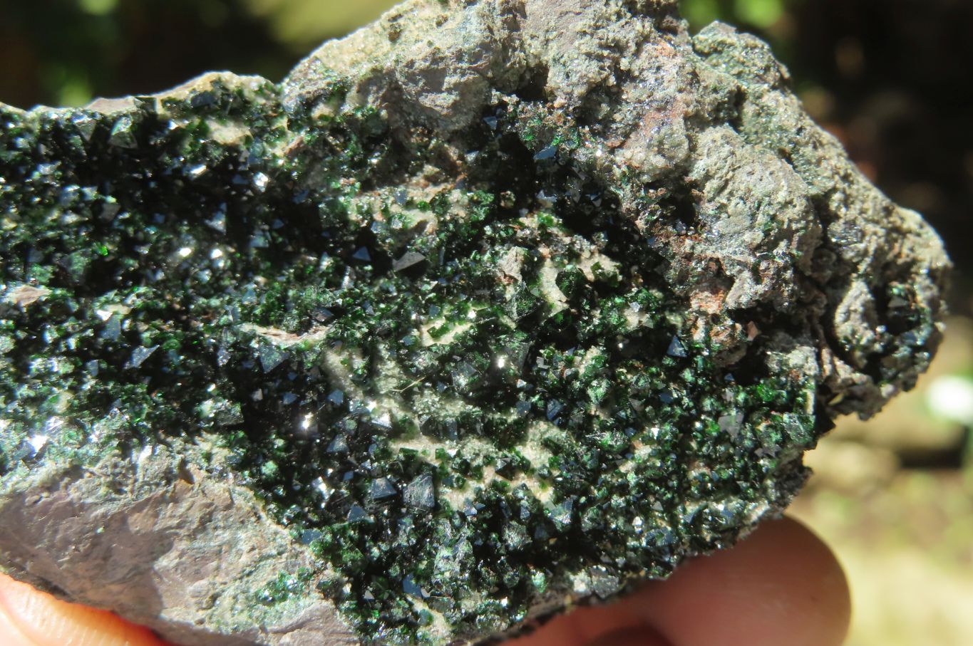 Natural Libethenite Crystals On Dolomite Matrix Specimens x 6 From Shituru, Congo - Toprock Gemstones and Minerals 