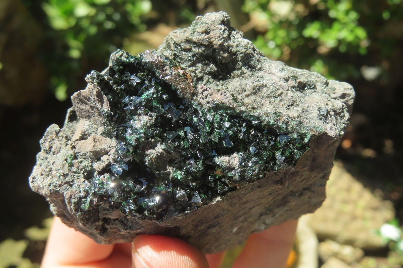 Natural Libethenite Crystals On Dolomite Matrix Specimens x 6 From Shituru, Congo - Toprock Gemstones and Minerals 