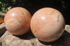 Polished Peach Moonstone Spheres x 2 From Madagascar - Toprock Gemstones and Minerals 