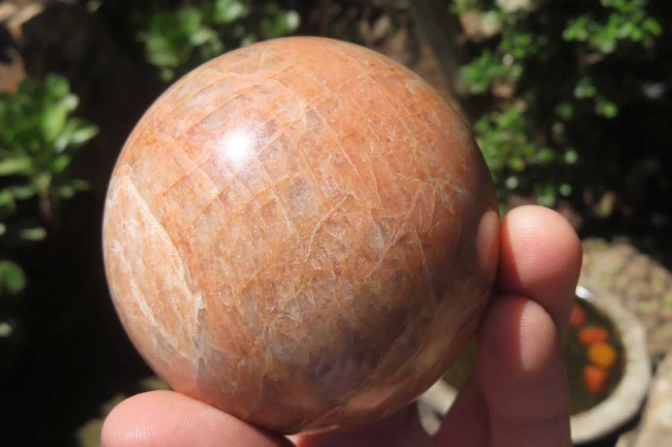 Polished Peach Moonstone Spheres x 2 From Madagascar | Toprock