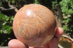 Polished Peach Moonstone Spheres x 2 From Madagascar - Toprock Gemstones and Minerals 