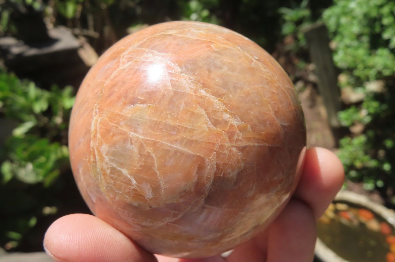 Polished Peach Moonstone Spheres x 2 From Madagascar - Toprock Gemstones and Minerals 