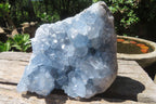 Natural Celestite Crystal Specimens x 2 From Sakoany, Madagascar - Toprock Gemstones and Minerals 