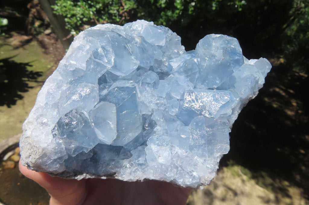 Natural Celestite Crystal Specimens x 2 From Sakoany, Madagascar - Toprock Gemstones and Minerals 