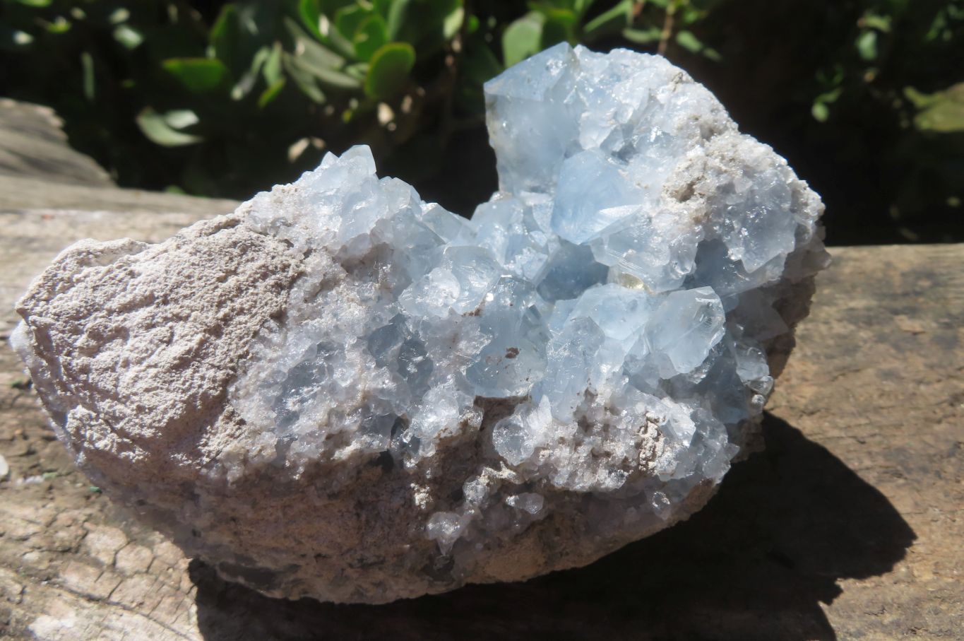 Natural Celestite Crystal Specimens x 2 From Sakoany, Madagascar - Toprock Gemstones and Minerals 