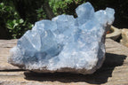 Natural Celestite Crystal Specimens x 2 From Sakoany, Madagascar - Toprock Gemstones and Minerals 