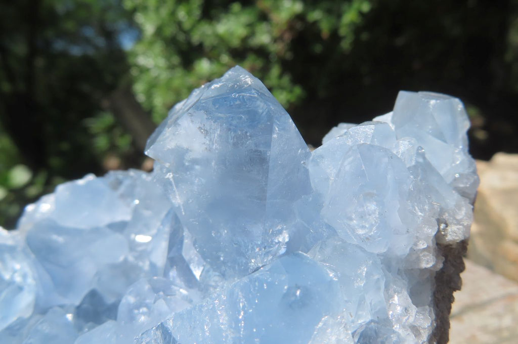 Natural Celestite Crystal Specimens x 2 From Sakoany, Madagascar - Toprock Gemstones and Minerals 