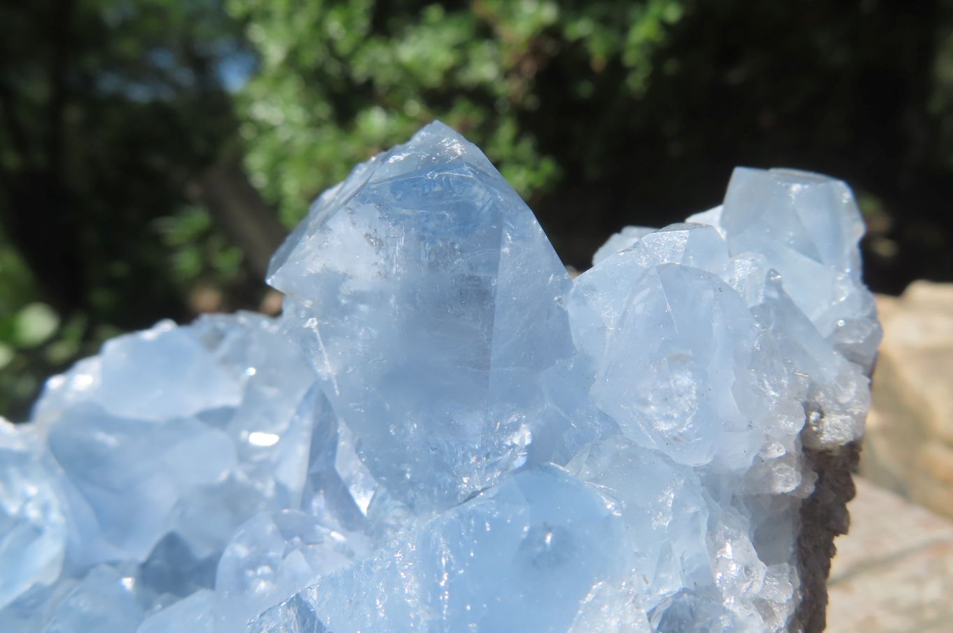 Natural Celestite Crystal Specimens x 2 From Sakoany, Madagascar - Toprock Gemstones and Minerals 