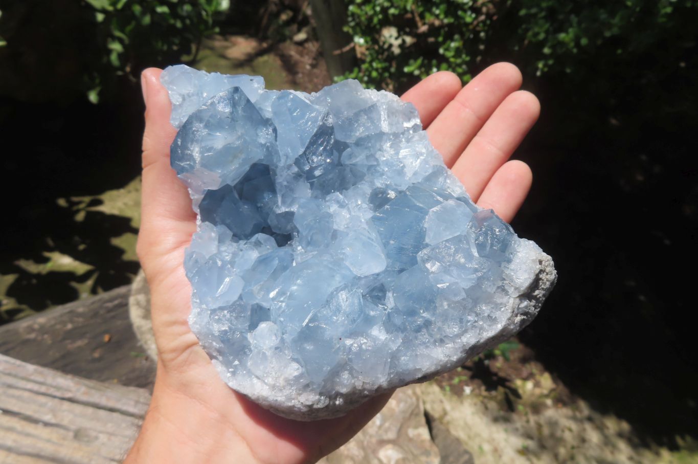 Natural Celestite Crystal Specimens x 2 From Sakoany, Madagascar - Toprock Gemstones and Minerals 