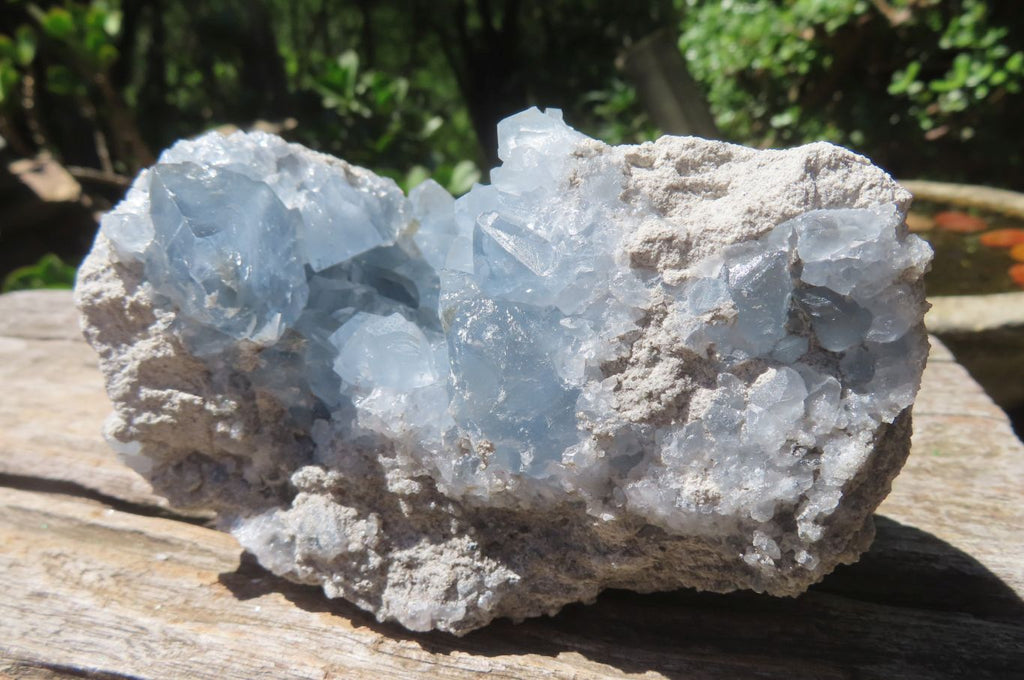 Natural Celestite Crystal Specimens x 2 From Sakoany, Madagascar - Toprock Gemstones and Minerals 