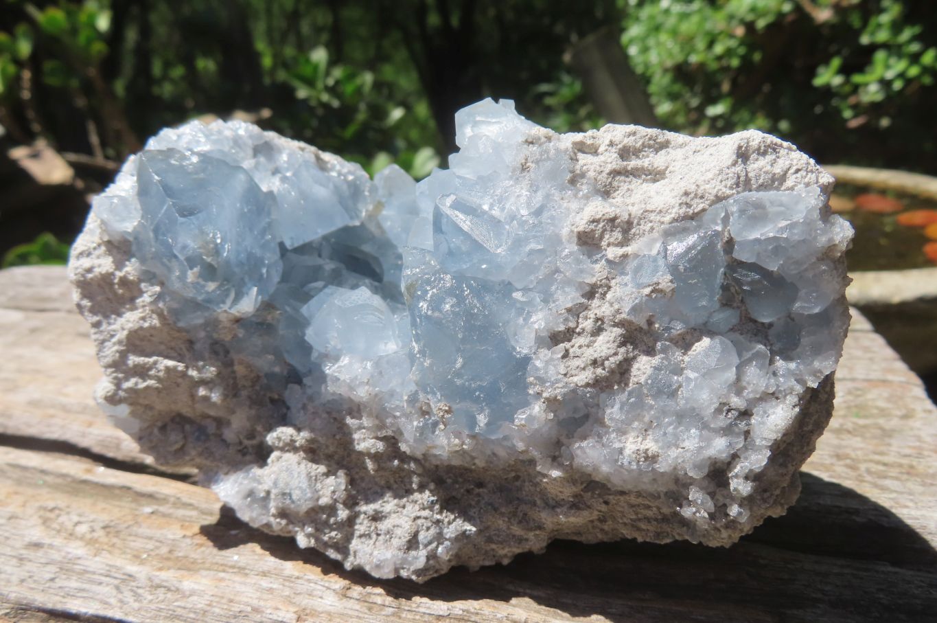 Natural Celestite Crystal Specimens x 2 From Sakoany, Madagascar - Toprock Gemstones and Minerals 
