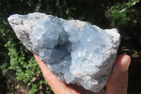 Natural Celestite Crystal Specimens x 2 From Sakoany, Madagascar - Toprock Gemstones and Minerals 