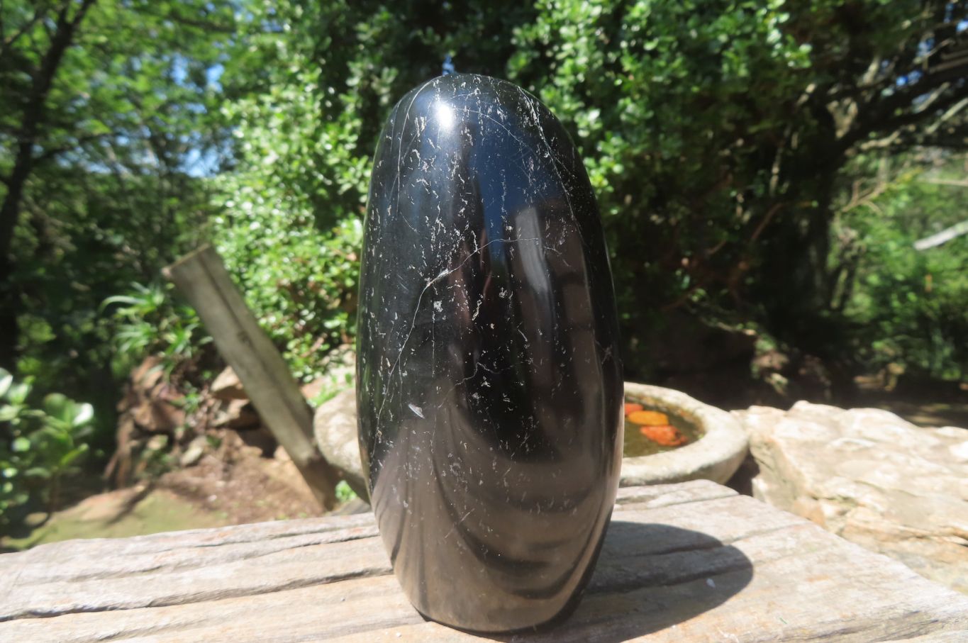 Polished Black Tourmaline Standing Free Form x 1 From Madagascar - Toprock Gemstones and Minerals 