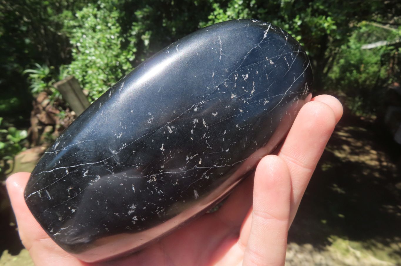 Polished Black Tourmaline Standing Free Form x 1 From Madagascar - Toprock Gemstones and Minerals 