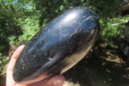 Polished Black Tourmaline Standing Free Form x 1 From Madagascar - Toprock Gemstones and Minerals 