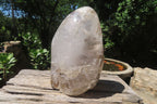 Polished Smokey Window Quartz Standing Free Form x 1 From Madagascar - Toprock Gemstones and Minerals 