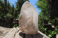 Polished Smokey Window Quartz Standing Free Form x 1 From Madagascar - Toprock Gemstones and Minerals 