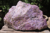 Natural Stichtite Specimen x 1 From Barberton, South Africa - Toprock Gemstones and Minerals 