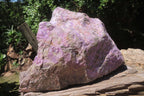 Natural Stichtite Specimen x 1 From Barberton, South Africa - Toprock Gemstones and Minerals 