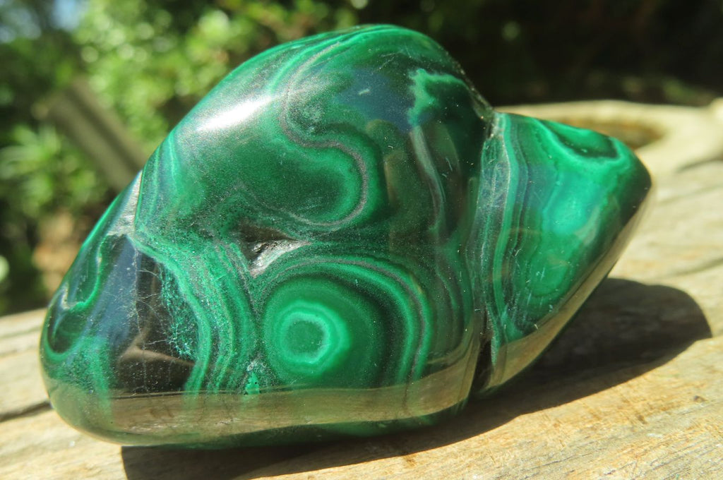 Polished Flower Banded Malachite Free Forms x 6 From Congo - Toprock Gemstones and Minerals 