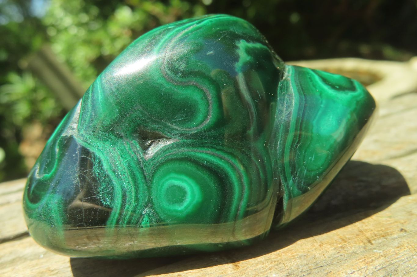 Polished Flower Banded Malachite Free Forms x 6 From Congo - Toprock Gemstones and Minerals 