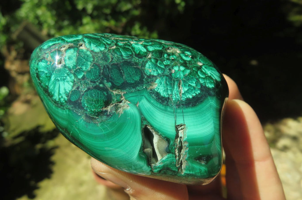 Polished Flower Banded Malachite Free Forms x 6 From Congo - Toprock Gemstones and Minerals 