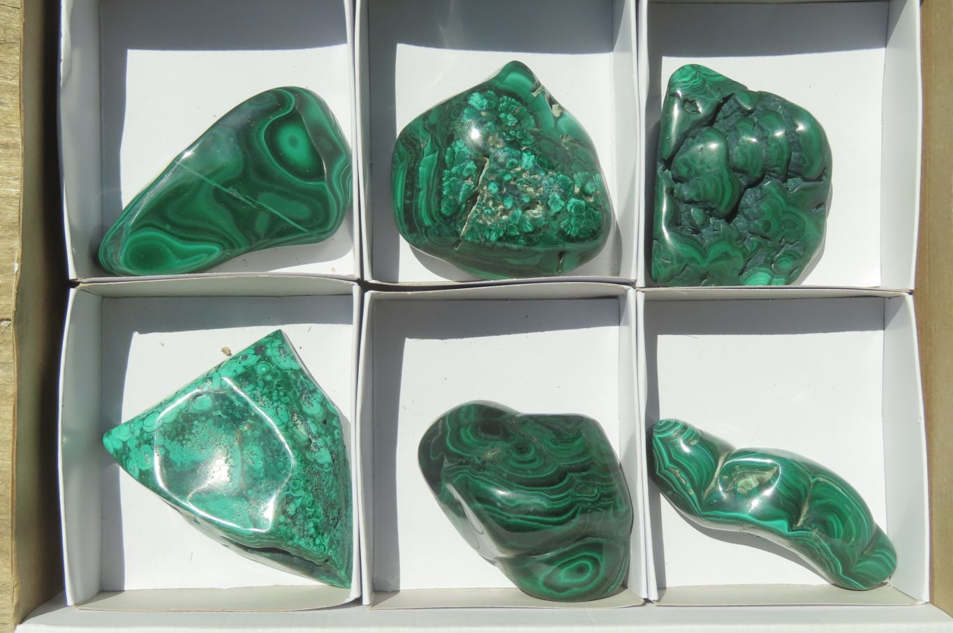 Polished Flower Banded Malachite Free Forms x 6 From Congo - Toprock Gemstones and Minerals 