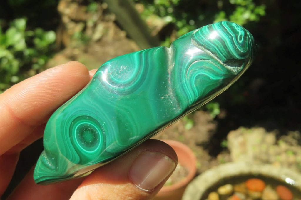 Polished Flower Banded Malachite Free Forms x 6 From Congo - Toprock Gemstones and Minerals 